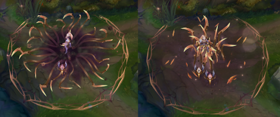 天南大学校庆跑与名校青春跑活动精彩回顾